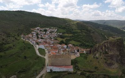 Virgen del Pilar 2023
