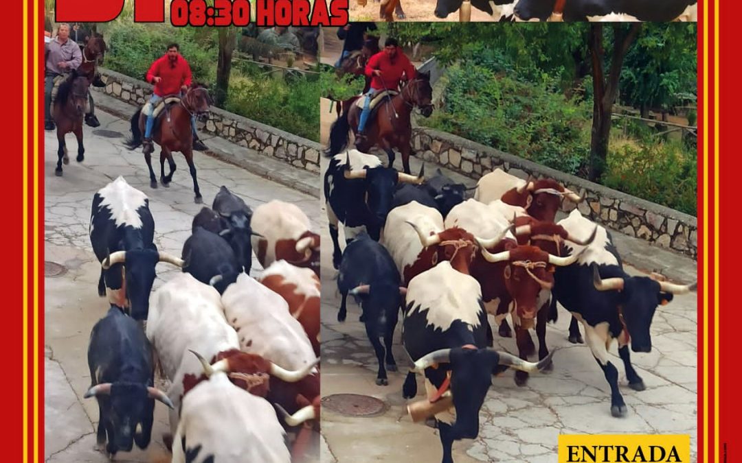 Programa de fiestas 2024