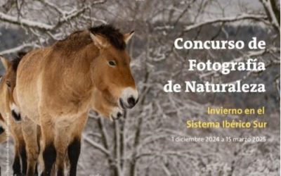 Rewilding-Spain lanza el Primer Concurso de fotografía de naturaleza