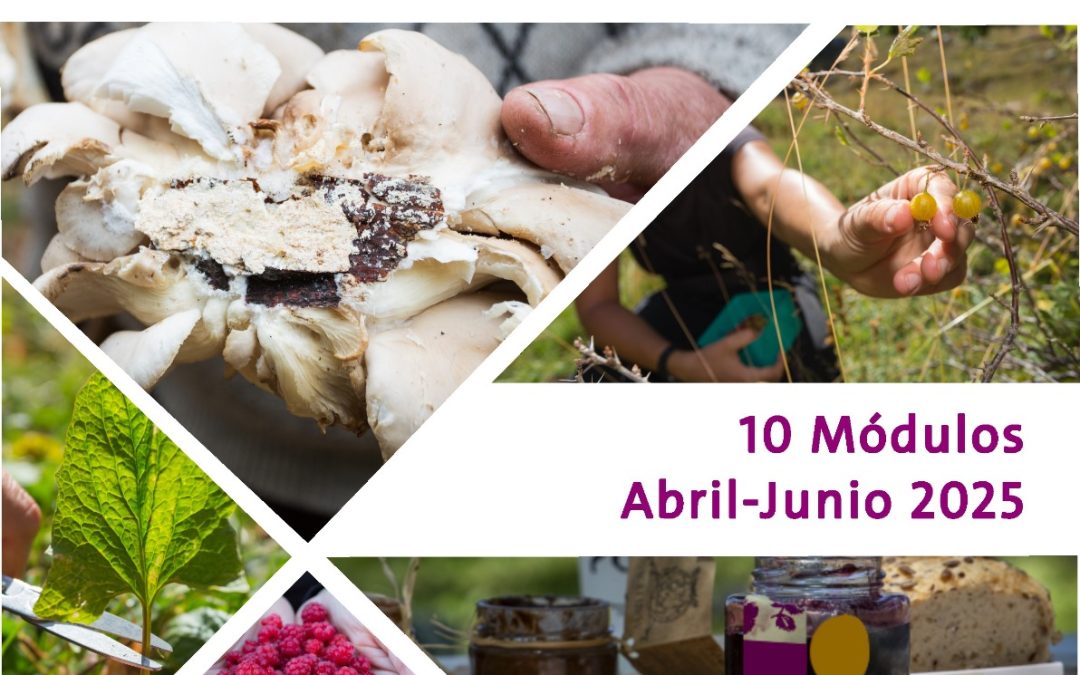 Cursos gratuitos de Rewilding Spain