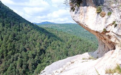 Convocatoria de ayudas de Rewilding Spain